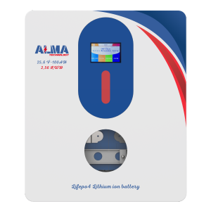 ALM25,6 V - 100 AH 2,56 KWH